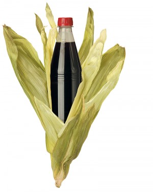 High Fructose Corn Syrup