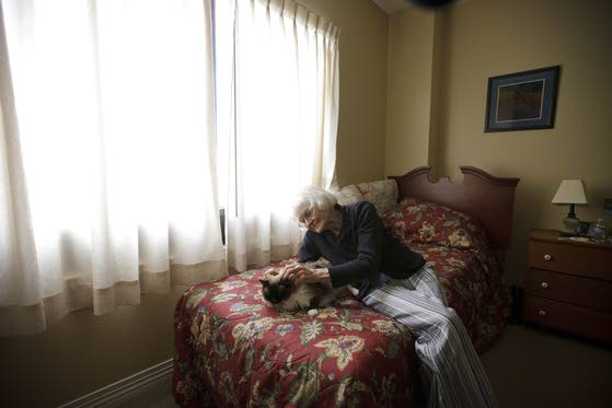 Senior living centers now accepting more pets