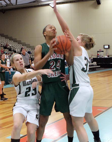 Numbers looking good for Miller, Cedar Creek