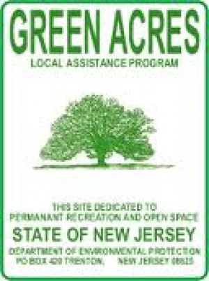 green acres icon