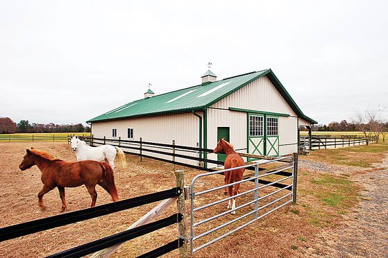 Horse Heaven