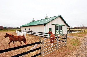 Horse Heaven