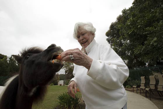Senior living centers now accepting more pets