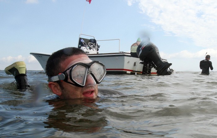 Diving for Sea Grass