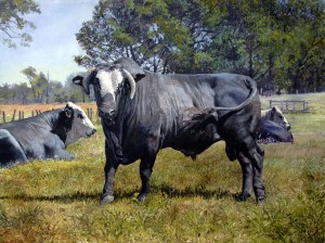 'She Belongs to Me' by Samuel Donovan