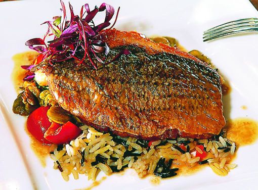 heart healthy recipes