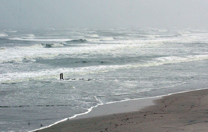 Sandy Prep