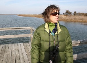 Wetlands92473513.jpg