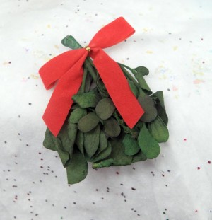 Mistletoe