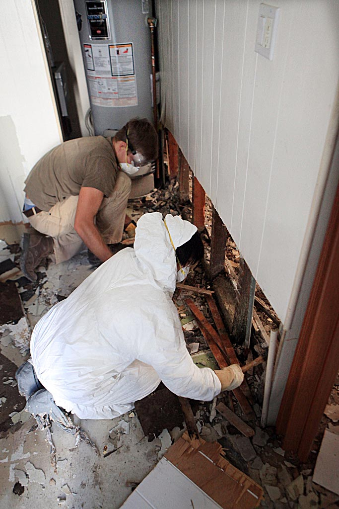 PIF Americorps