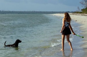 Visit dog-friendly Florida with your best friend