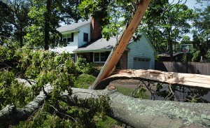 Split Tree