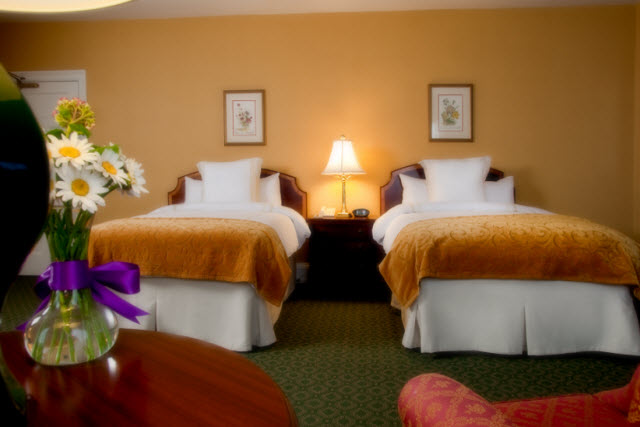 guest room 2