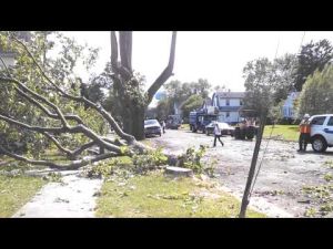 Tree Falls on Home in Egg Harbor City, NJ