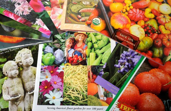 Garden planning should begin now