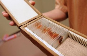 Dexter's kill room, deciphered: Inside the art and artistry of creating the Showtime hit's signature scene