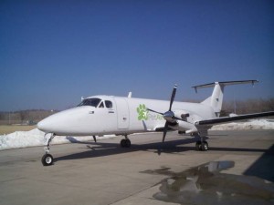 Puppies deaths renew fears for precious cargo in planes