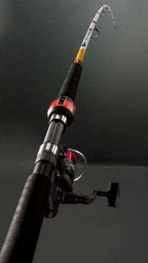 Computer-powered fishing pole