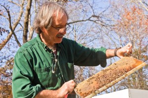 beekeeping112924802.jpg
