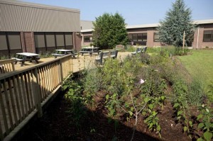 Ocean City Intermediate School adds rain garden to its courtyard