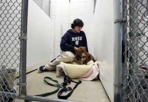  Humane Society