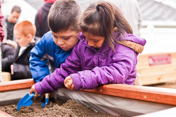 Seed of idea sprouts project  for Wildwood garden to grow