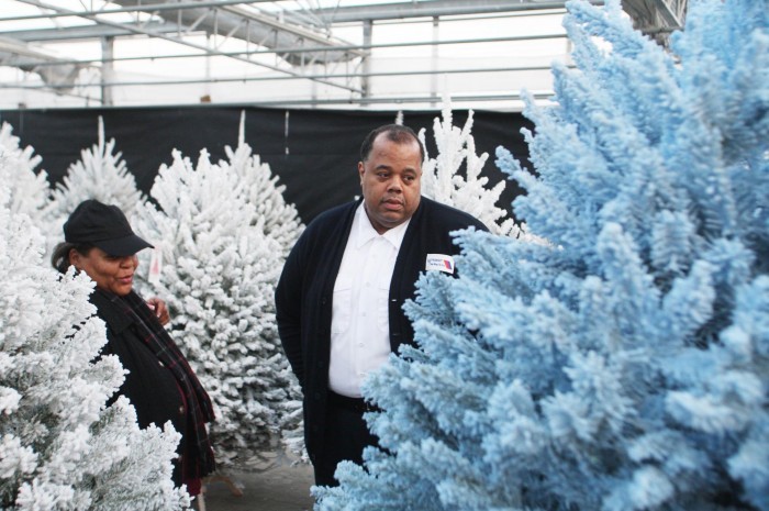 Christmas Trees