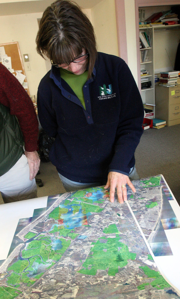 Wetlands92473516.jpg