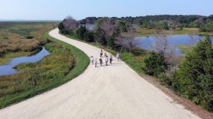 Forsythe NWR offering walk for beginning birders Sunday