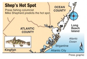 Shep's Hot Spot kingfish LBI