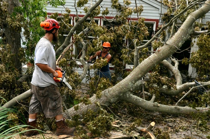 tree cutting
