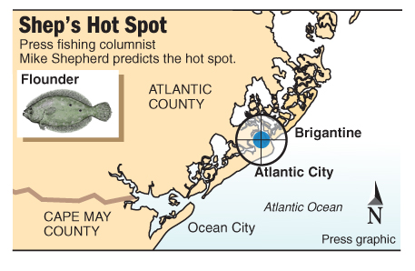 Shep Hot Spot flounder Absecon Inlet