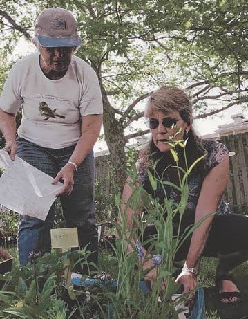 Promoting native plantsOrganizations hold events to raise funds, distribute local species