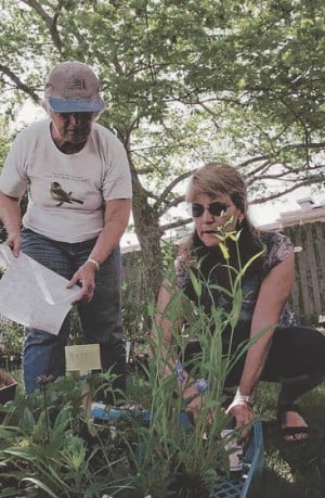 Promoting native plantsOrganizations hold events to raise funds, distribute local species