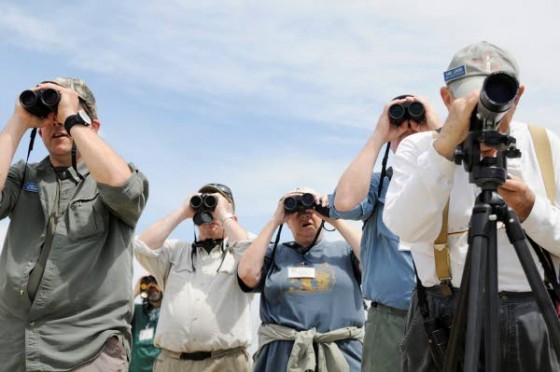 birders