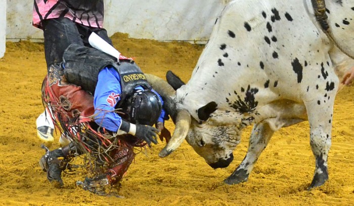 rodeo last day