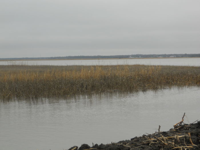 Dallas Landing today