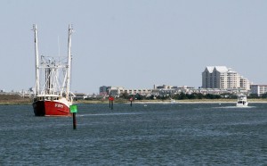  Fishing harvests