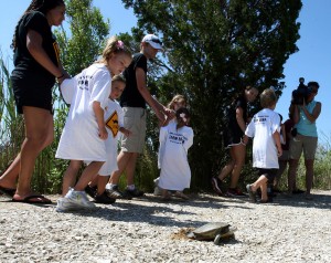 Turtle Release