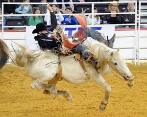 Rodeo, cowboys return to Atlantic City Boardwalk