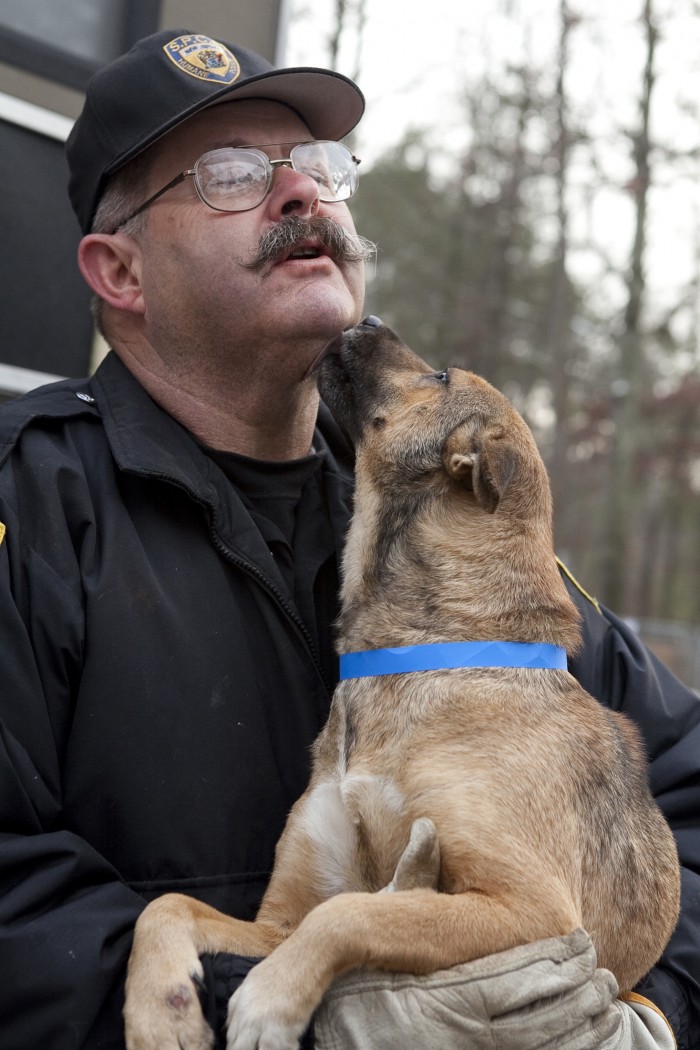 SPCA RAID
