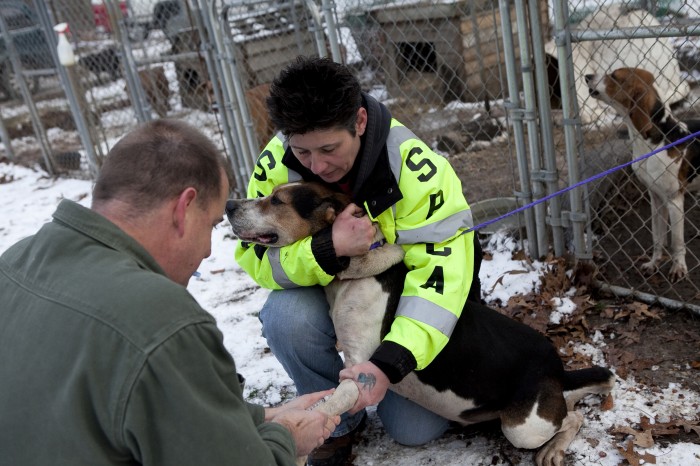 SPCA RAID