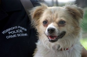 Police help lost pets along journey back home
