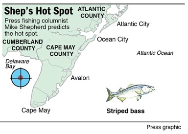 Shep's Hot Spot
