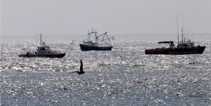 Egg Harbor Inlet Boaters