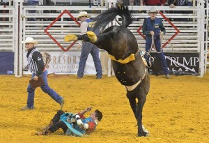 Rodeo brings fans, cowboys, protesters to A.C.
