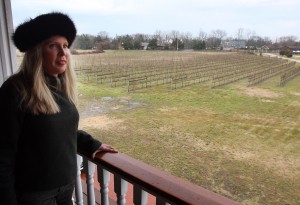 Wineries Opening91360534.jpg