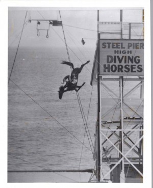 DIVINGHORSE.JPG