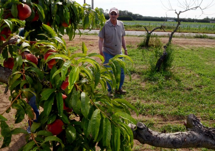 derecho farms