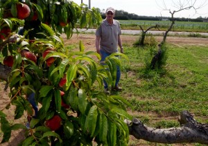 derecho farms